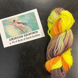 Birds of North America Micro set with Project Bag