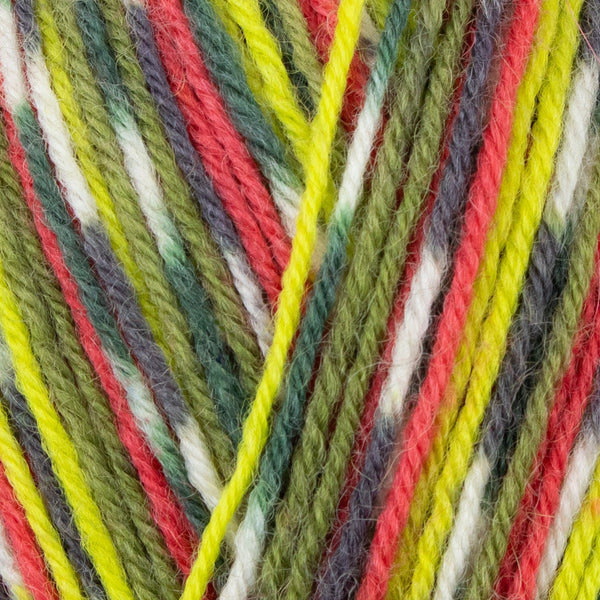 WYS Signature Sock 4ply - Country Birds Collection