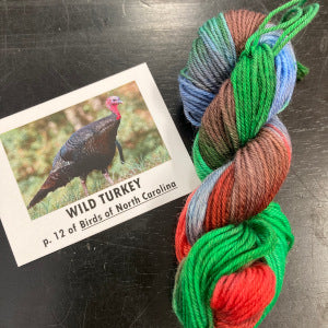 Birds of North America Micro set with Project Bag