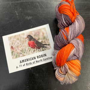 Birds of North America Micro set with Project Bag