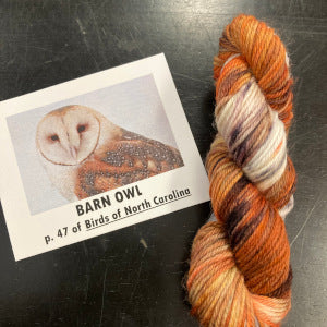 Birds of North America Micro set with Project Bag