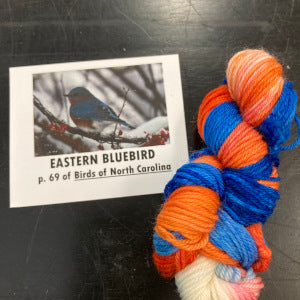 Birds of North America Micro set with Project Bag