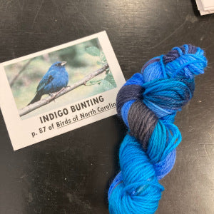 Birds of North America Micro set with Project Bag
