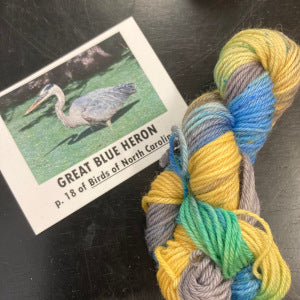 Birds of North America Micro set with Project Bag