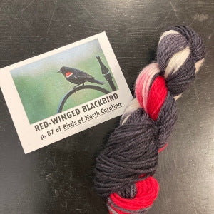 Birds of North America Micro set with Project Bag