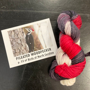Birds of North America Micro set with Project Bag