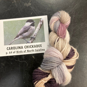 Birds of North America Micro set with Project Bag