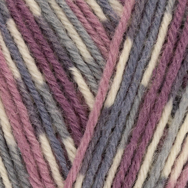 WYS Signature Sock 4ply - Country Birds Collection