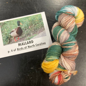 Birds of North America Micro set with Project Bag