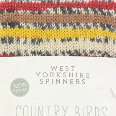 WYS Signature Sock 4ply - Country Birds Collection