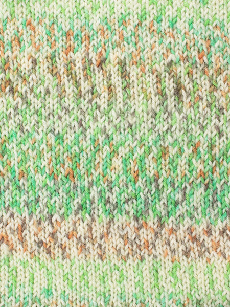 WYS Signature Sock 4ply - Butterflies Collection