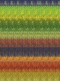 Noro Silk Garden