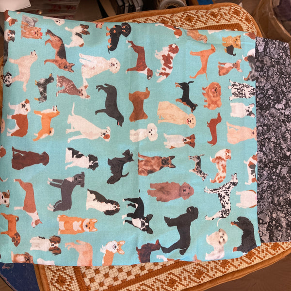 Dinos, Doggies, & More Project Bags