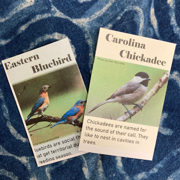 Holiday Calendar Yarn Box 2025: BIRDs of NC Box!