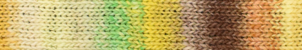 Noro Kureyon