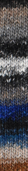 Noro Silk Garden