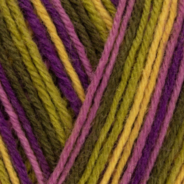 WYS Signature Sock 4ply - Cocktails Collection