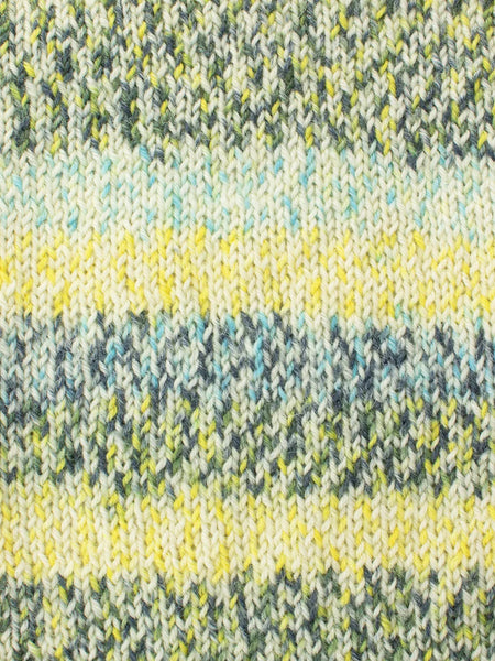 WYS Signature Sock 4ply - Butterflies Collection