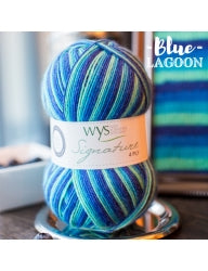 WYS Signature Sock 4ply - Cocktails Collection