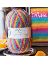 WYS Signature Sock 4ply - Cocktails Collection