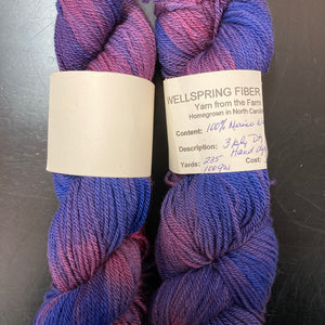 Wellspring Merino HandDyed DK